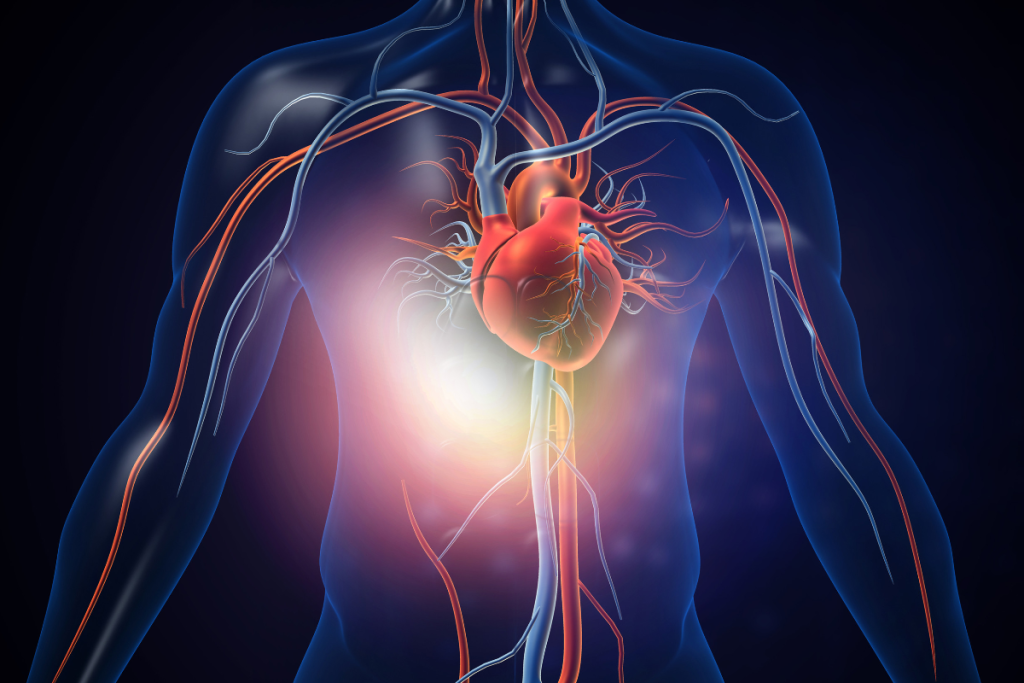 Una investigación confirma que el shock cardiogénico afecta al 26% de los pacientes de Takotsubo